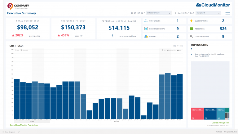 Cost Governance